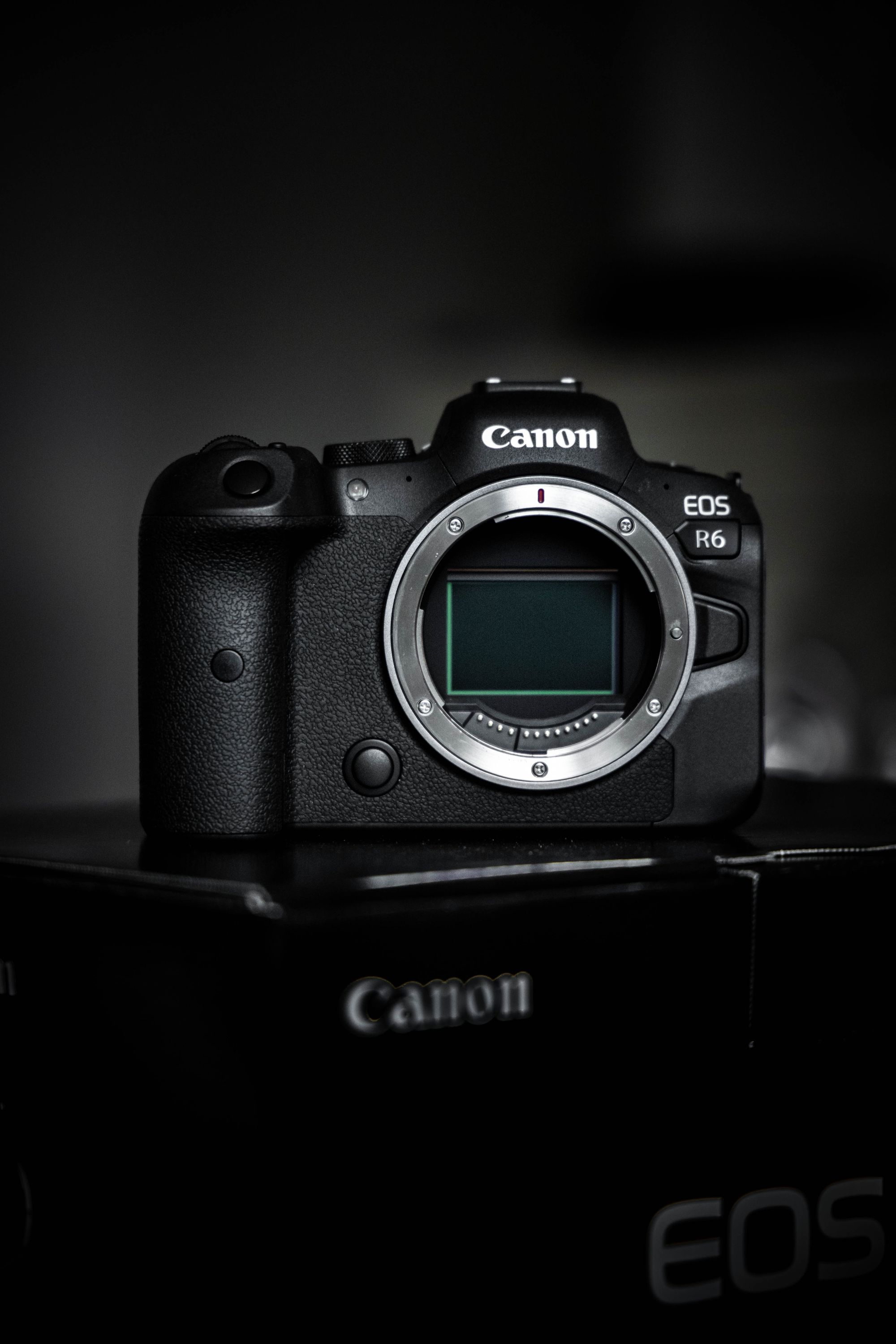 Canon R6 for best music video camera