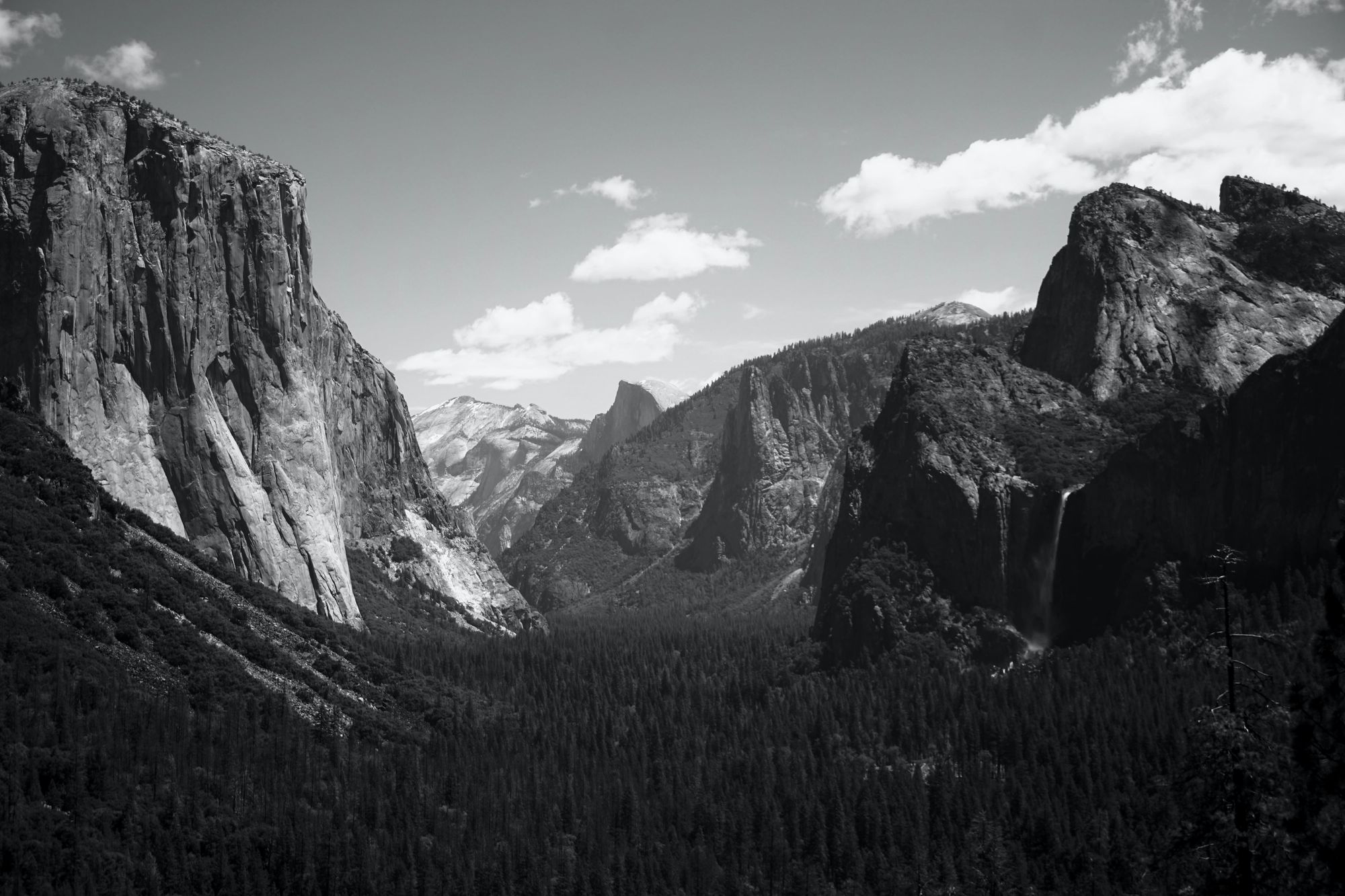 Ansel Adams was important in changing how we perceive photography 