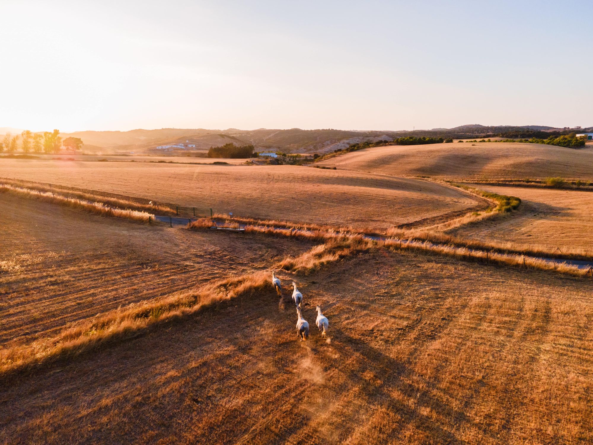 Use drones for minimum disturbance