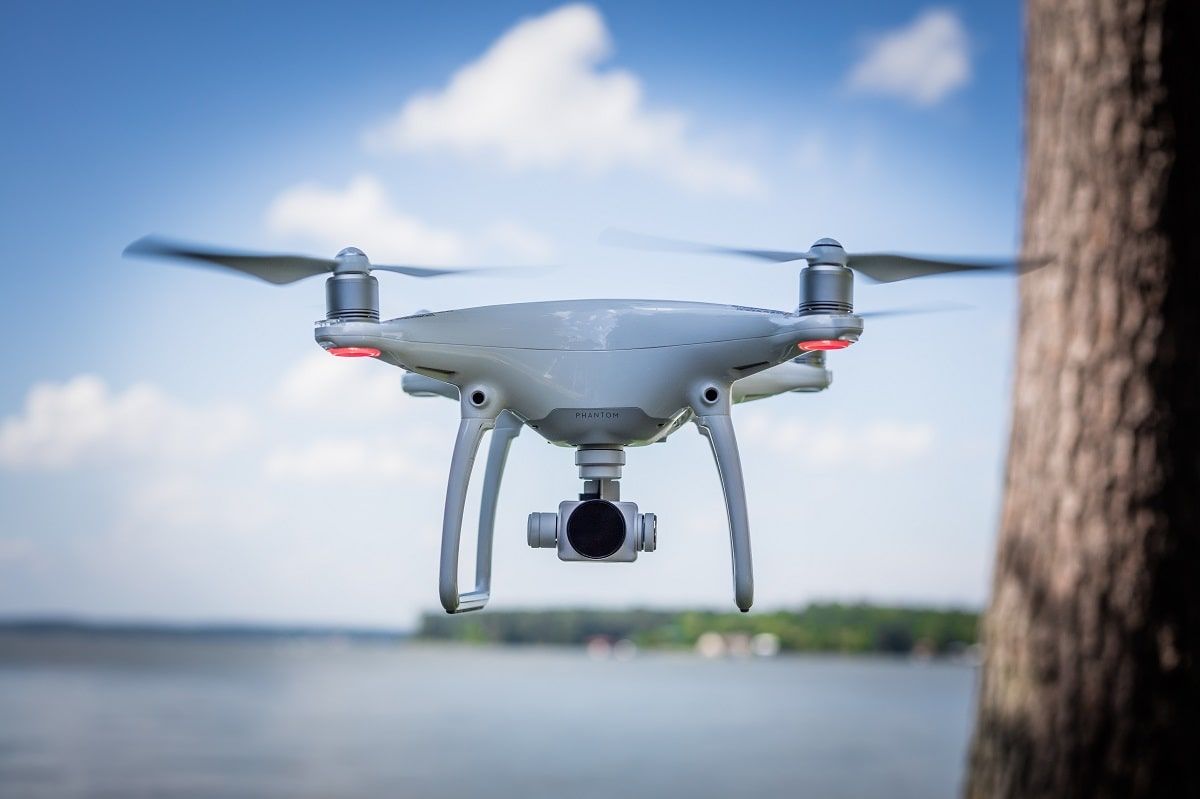 drone next to a tree