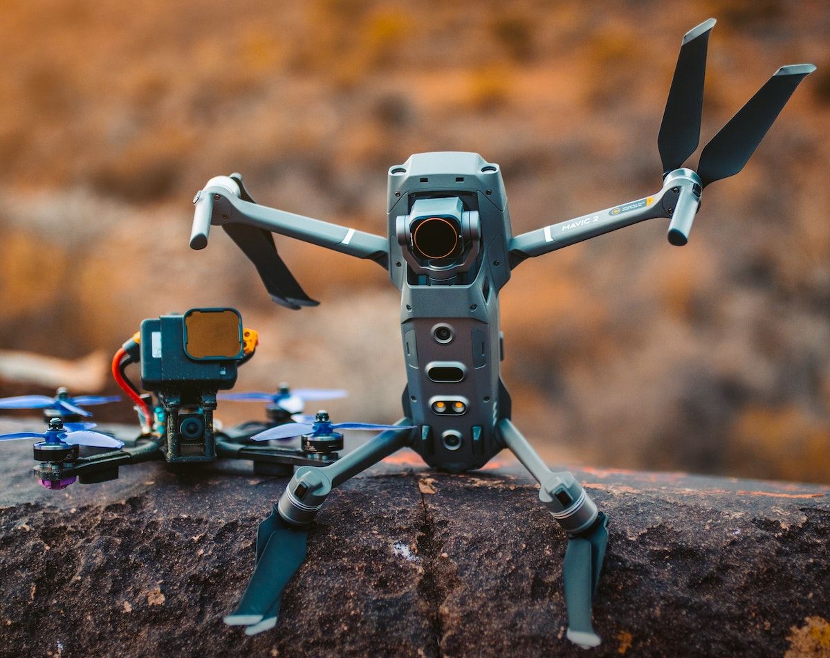 drone sitting on a tree