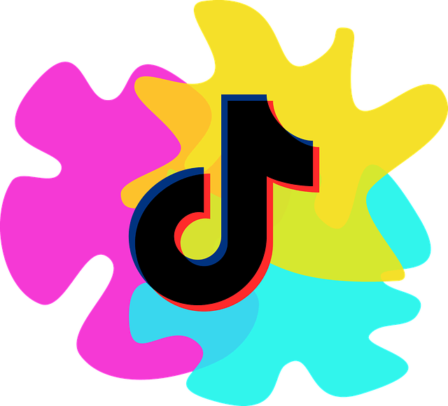 tiktok logo image