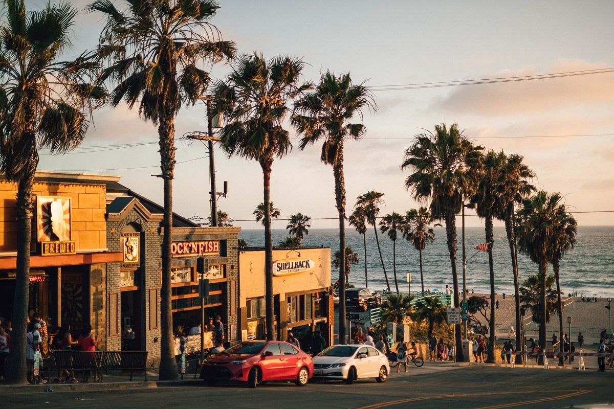 palms in los angeles