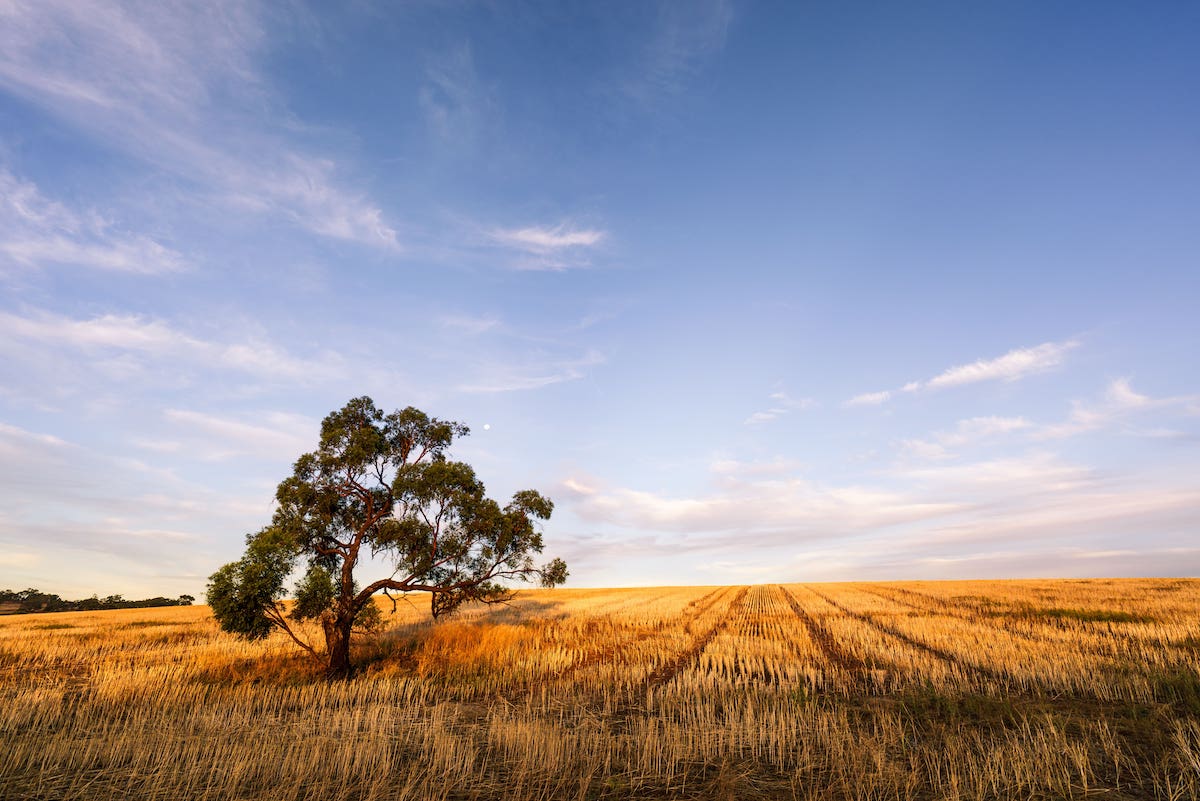 landscape shots