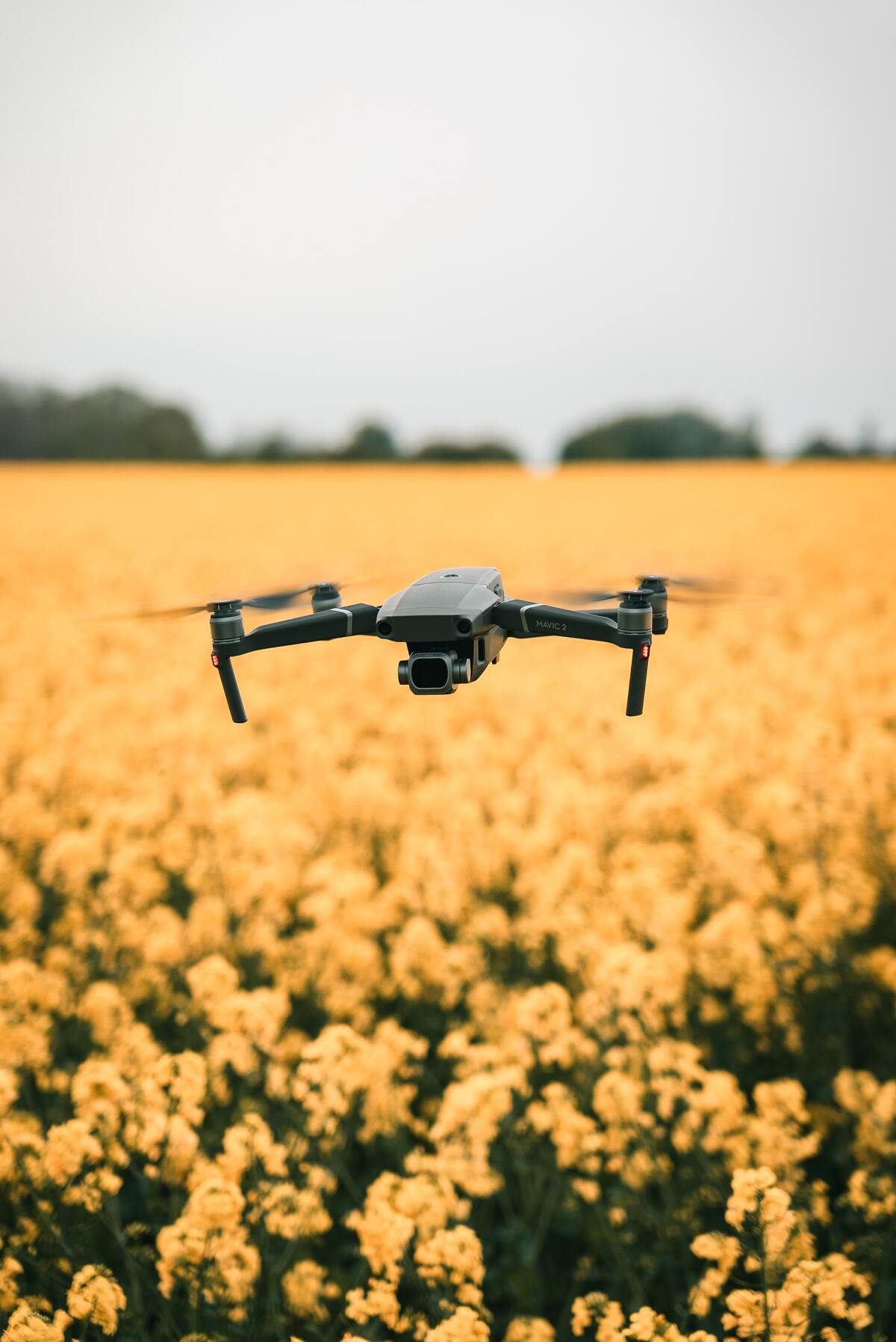 Mavic 2 Pro on a flower field