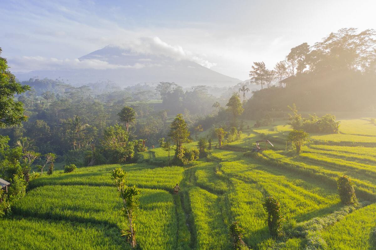 drone photo on Bali