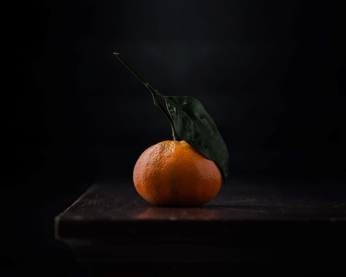 tangerine still life photography