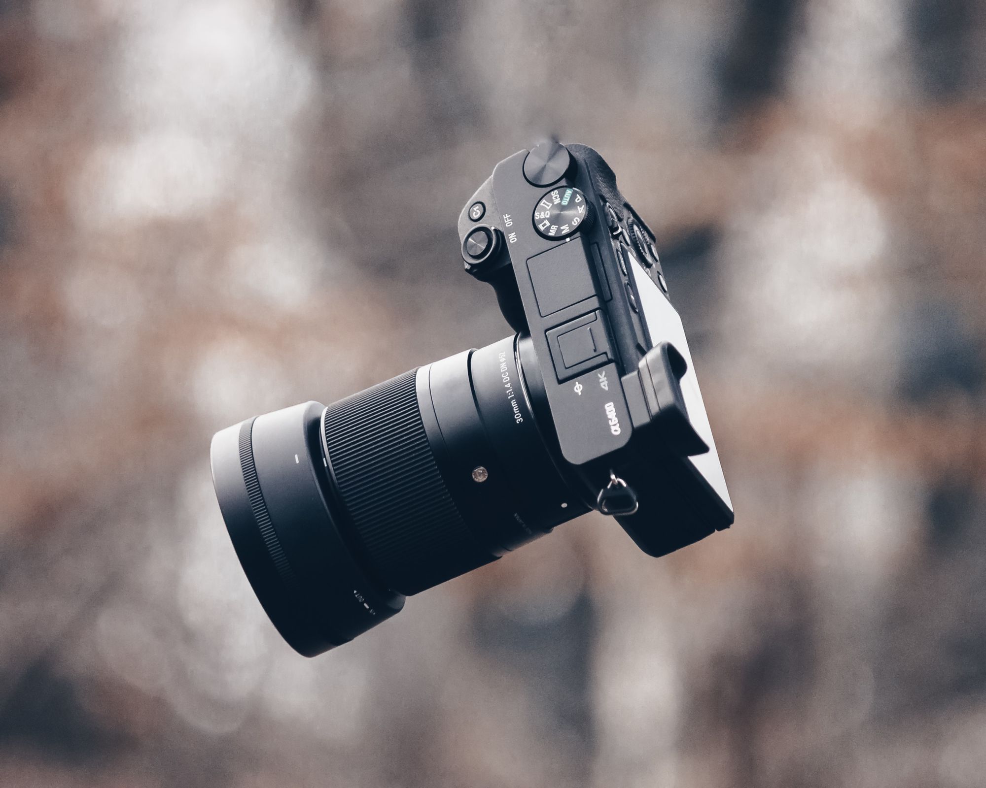 Sony A6600 Review: A Small but Mighty Mirrorless for Wildlife Photography  Enthusiasts — Oxbow Photography