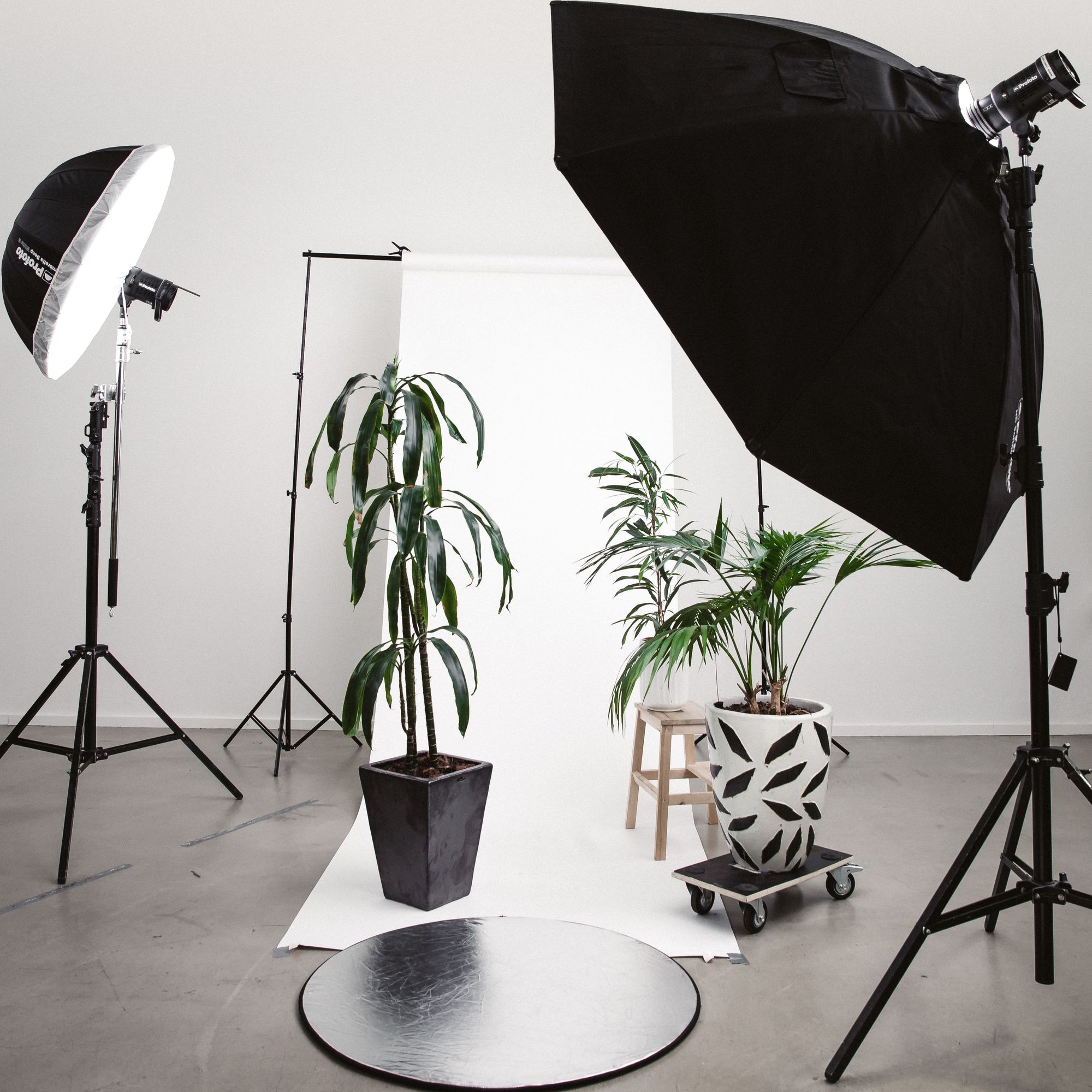 Studio Photography - Essential Guide