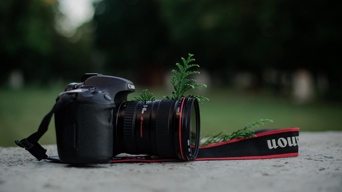 beginner DSLR cam