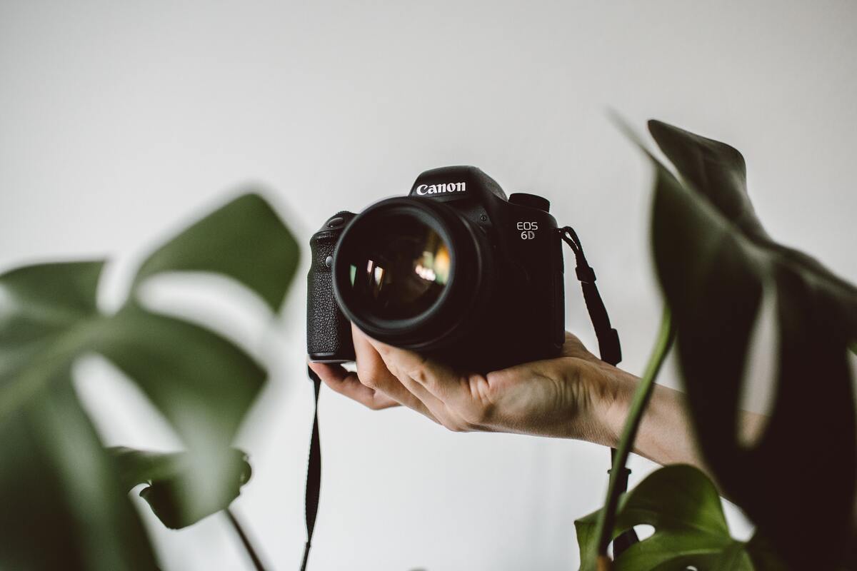 Best DSLR for Beginners