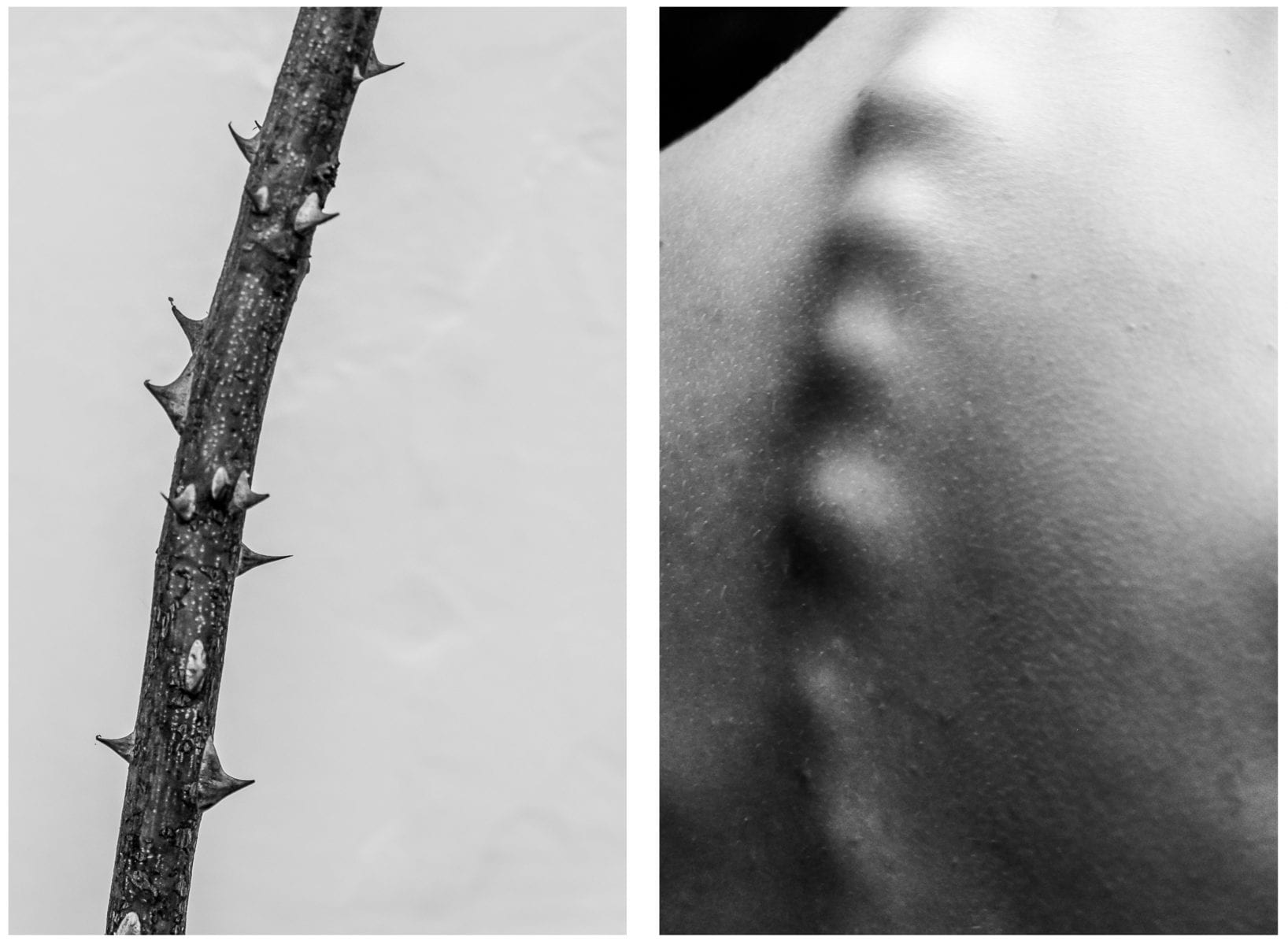 juxtaposition in photography diptych example