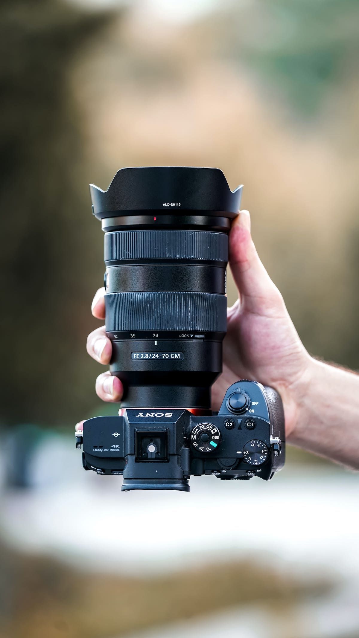 Pros and cons sony mirrorless cameras