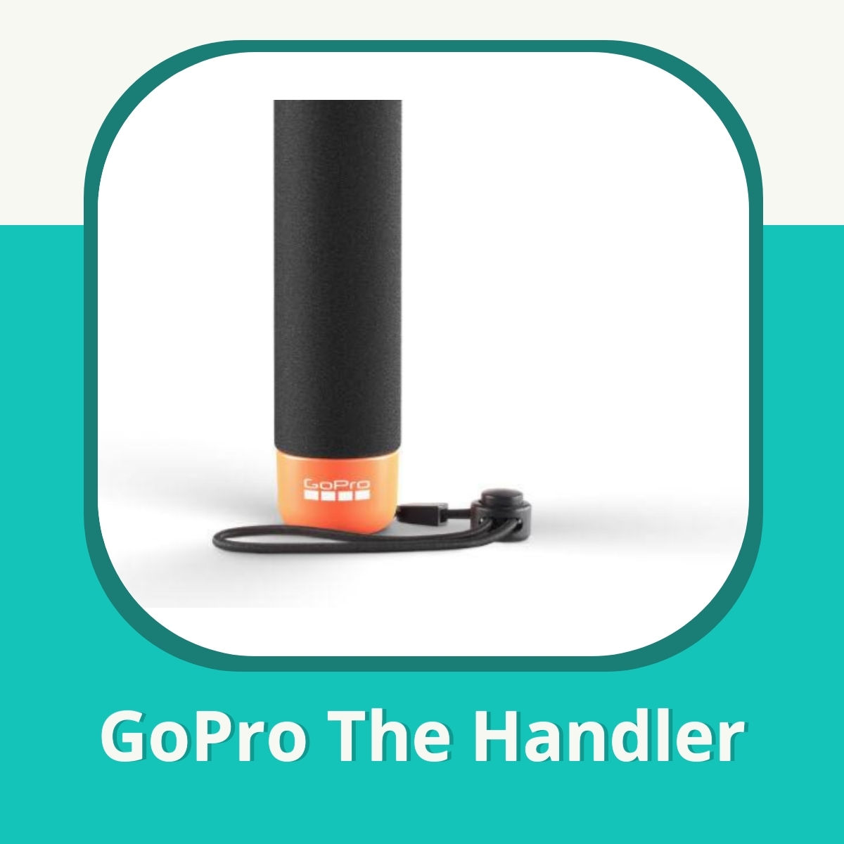 Recension af GoPro The Handler