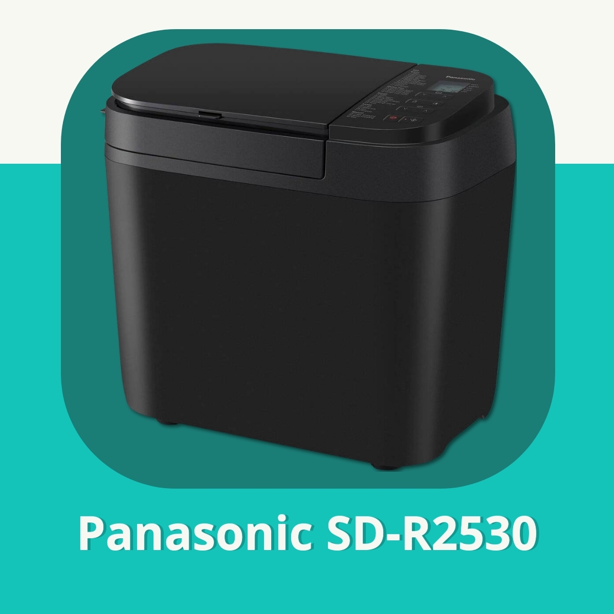 Anmeldelse af Panasonic SD-R2530
