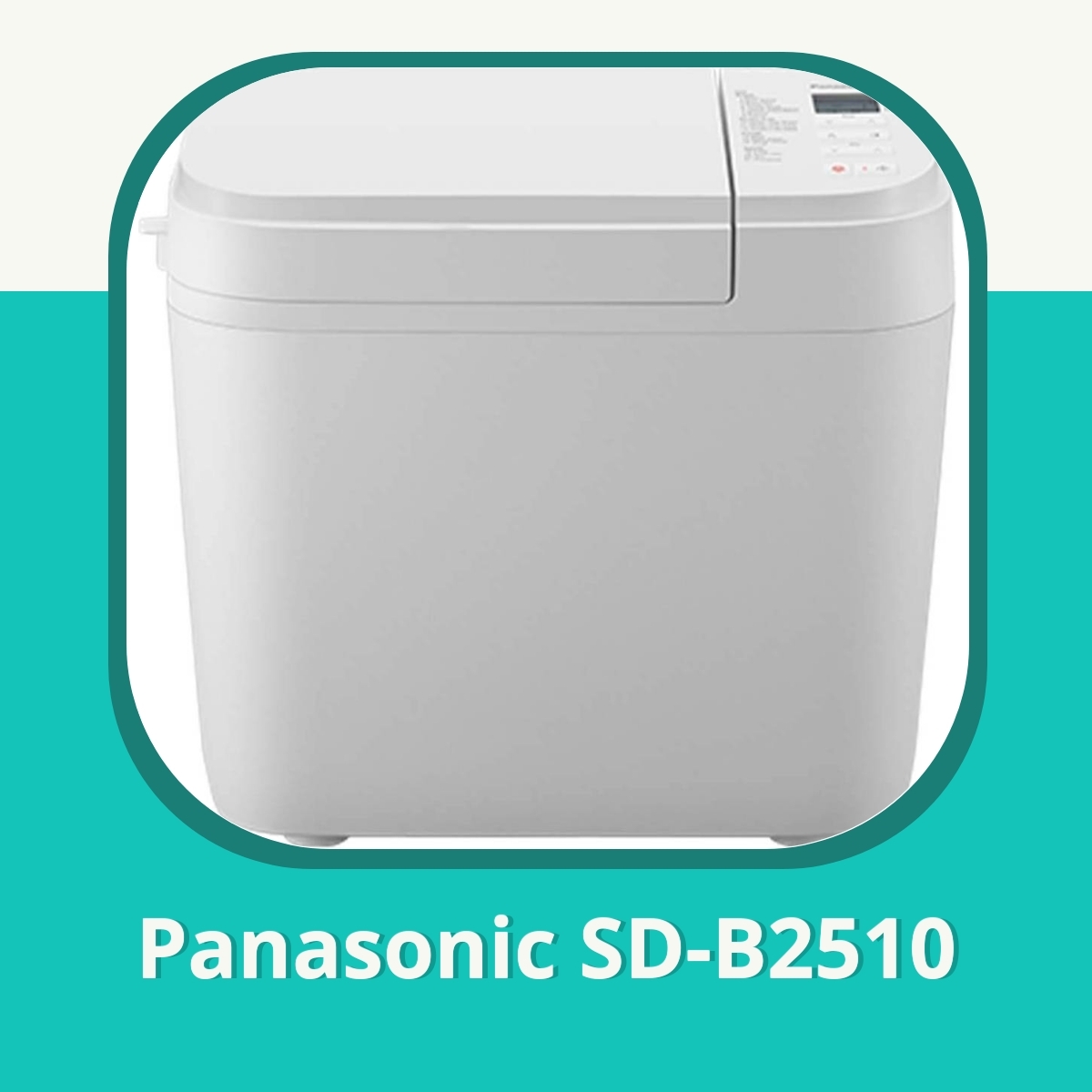 Recension af Panasonic SD-B2510