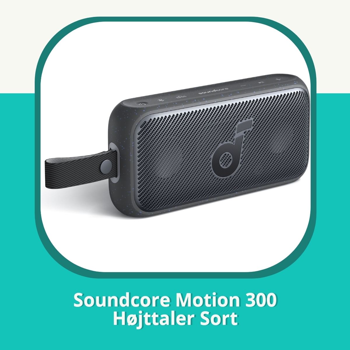 Recension Soundcore Motion 300 Højttaler Sort
