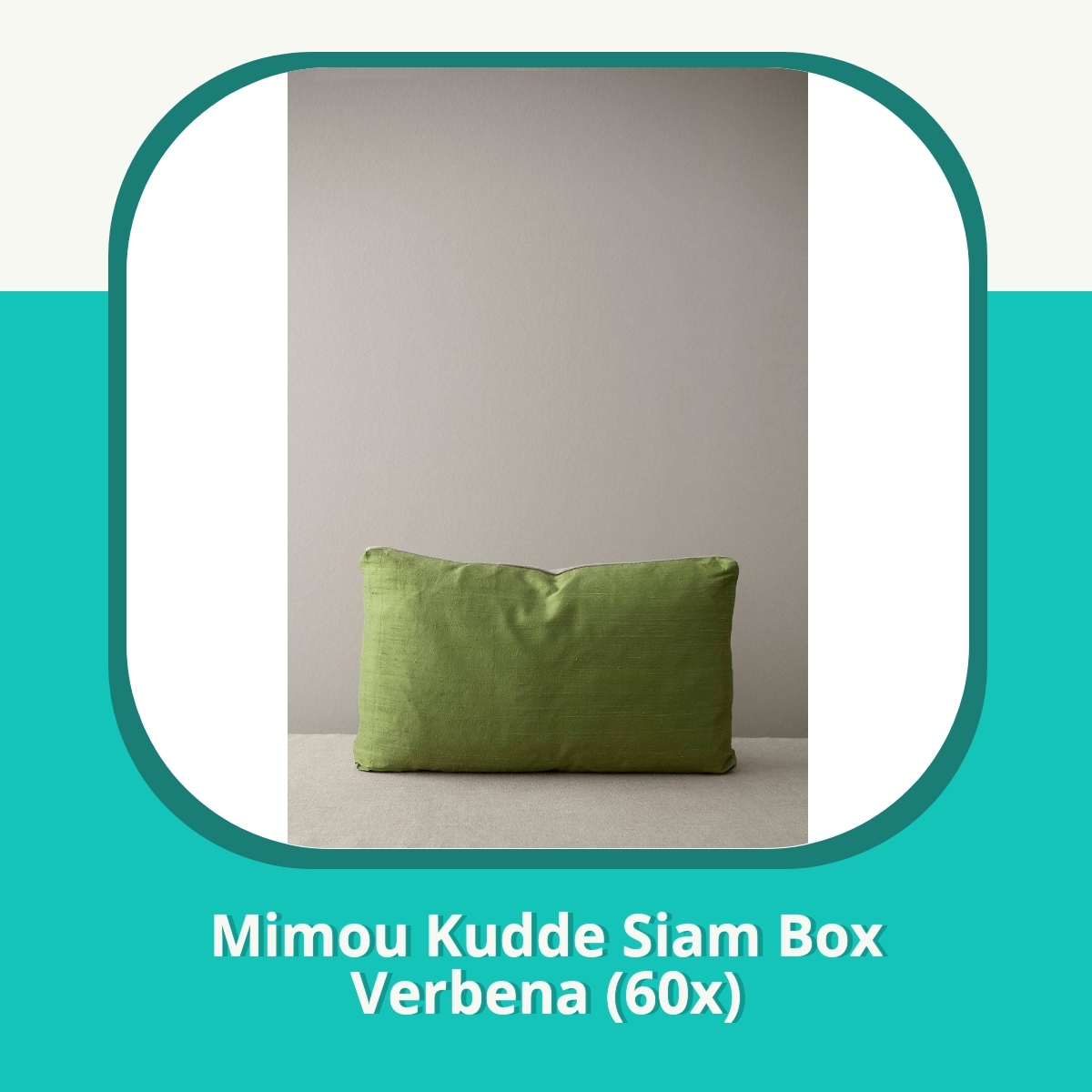 Recension Mimou Kudde Siam Box Verbena (60x)