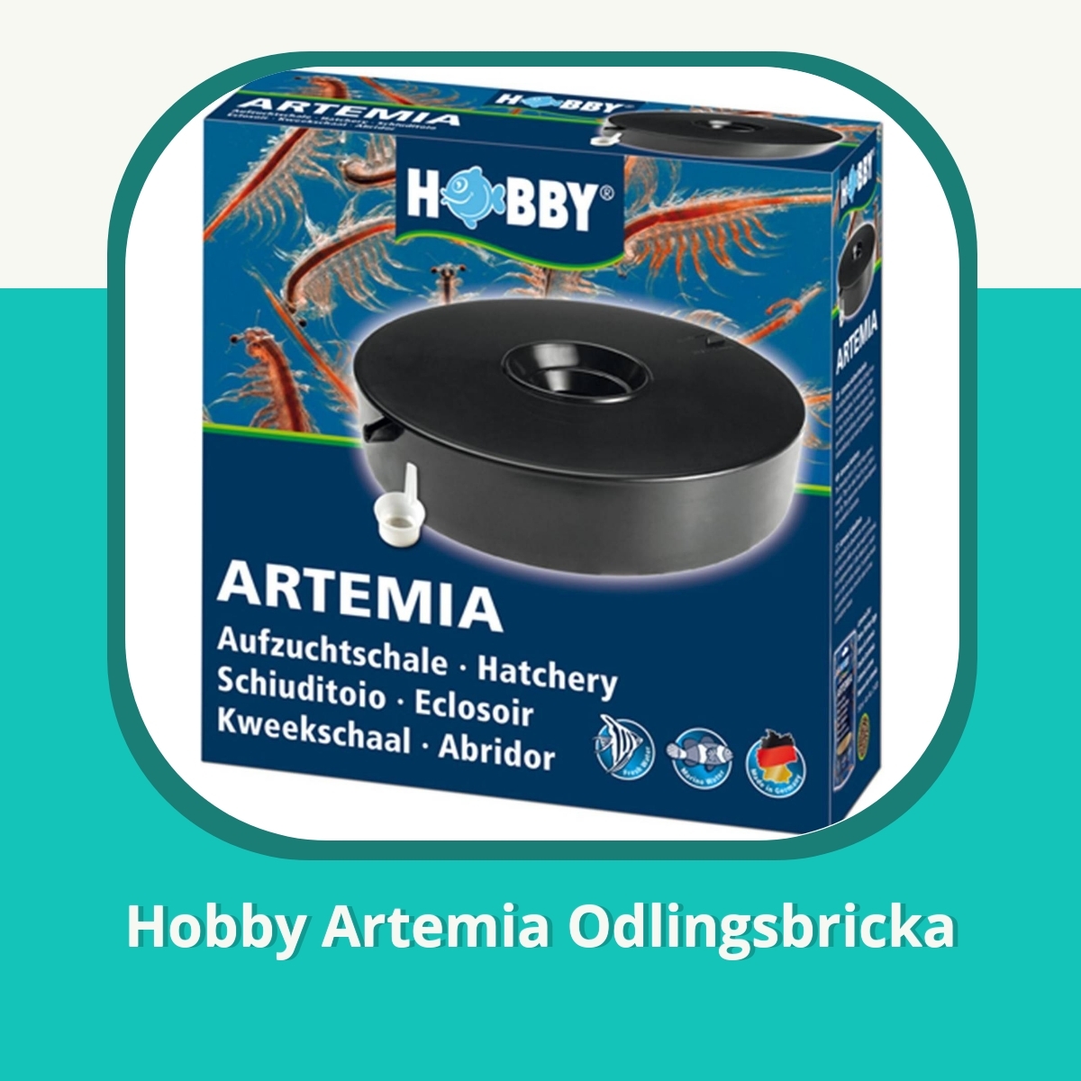 Recension af Hobby Artemia Odlingsbricka