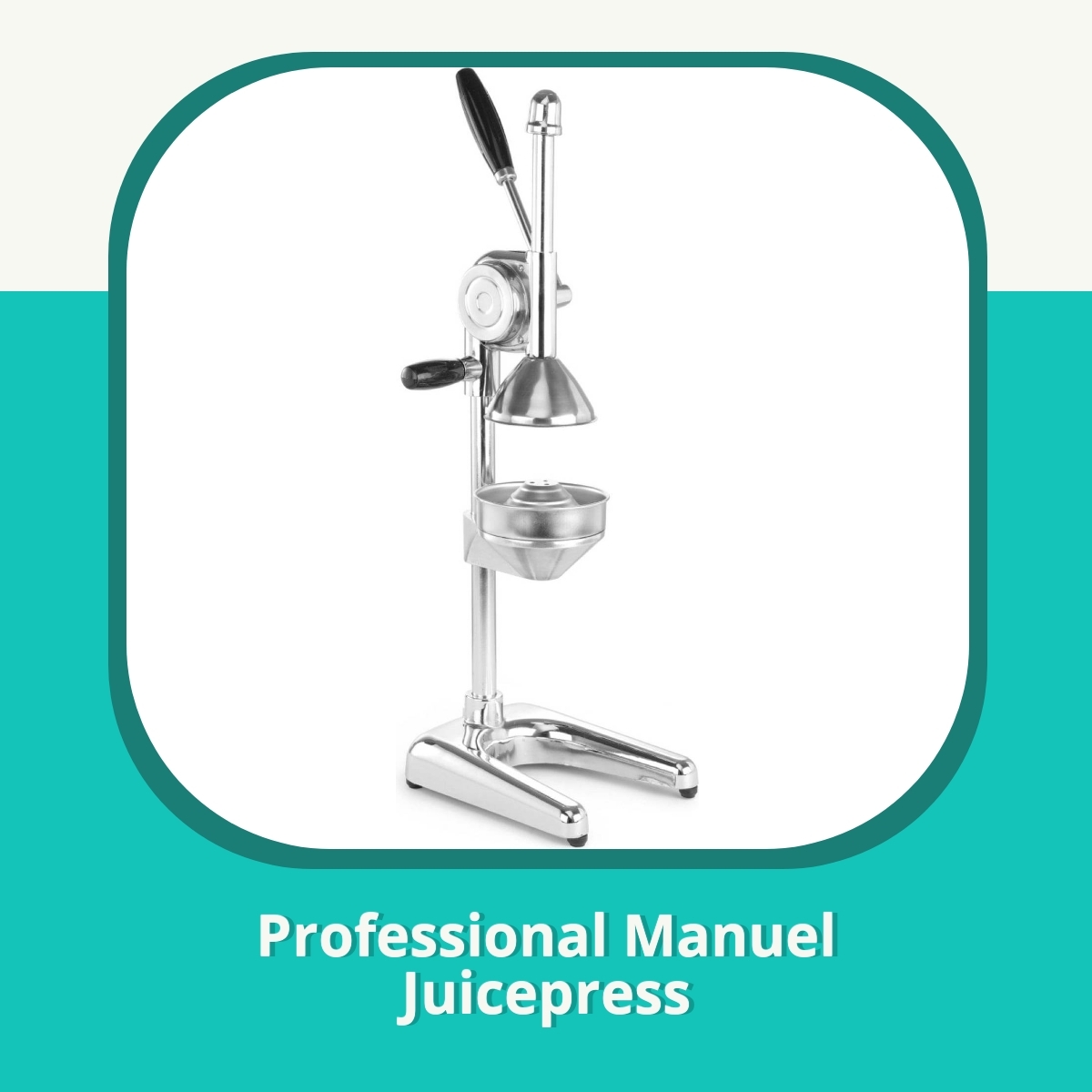 Recension af Professional Manuel Juicepress