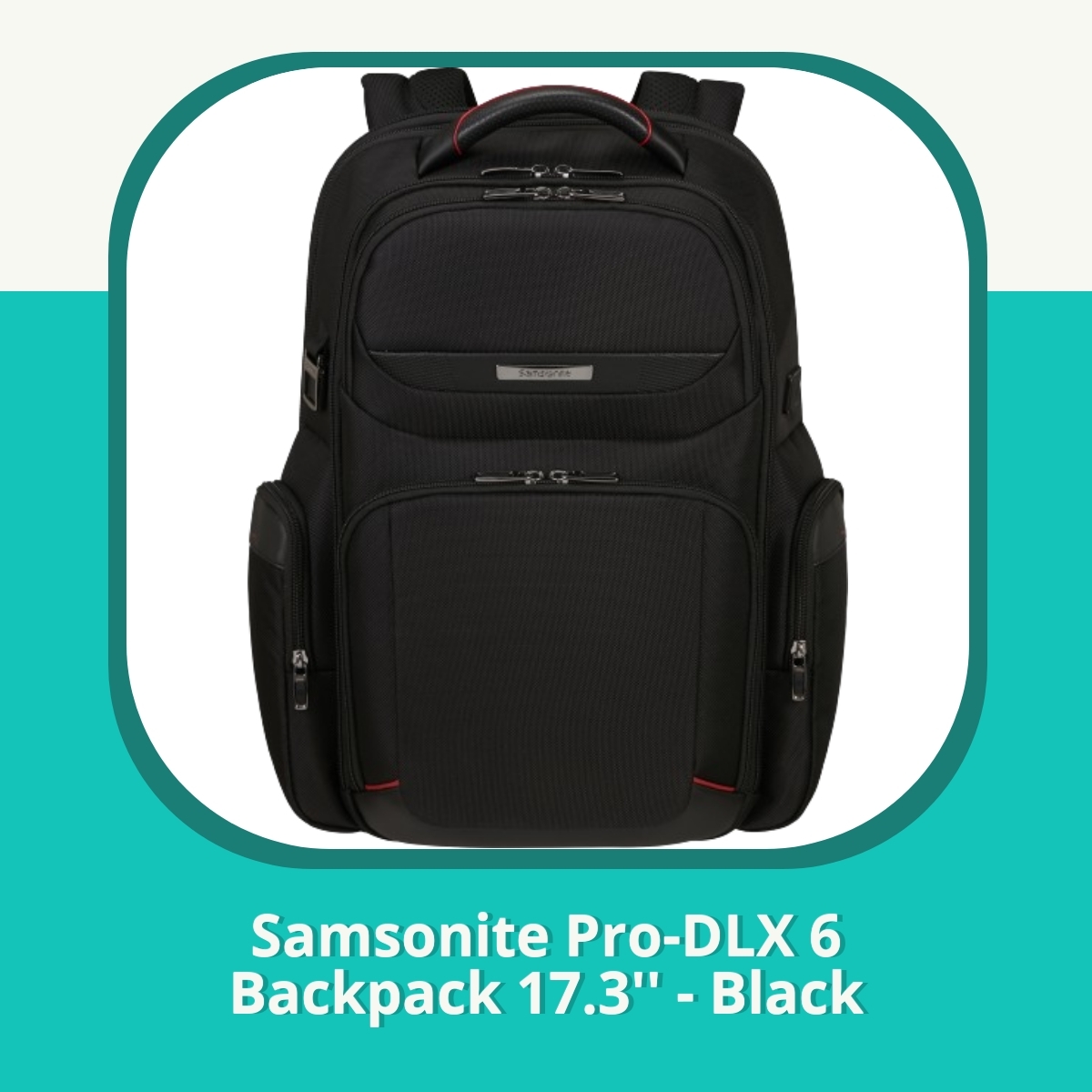 Anmeldelse af Samsonite Pro-DLX 6 Backpack 17.3'' - Black