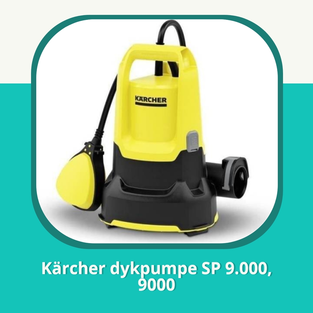 Anmeldelse af Kärcher dykpumpe SP 9.000, 9000