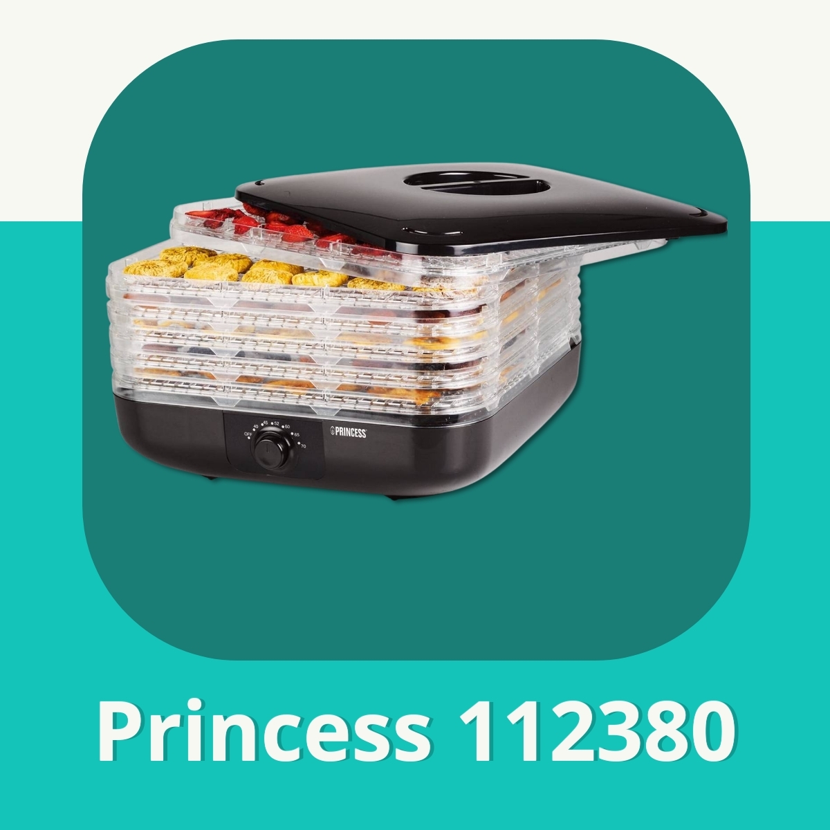 Anmeldelse af Princess 112380