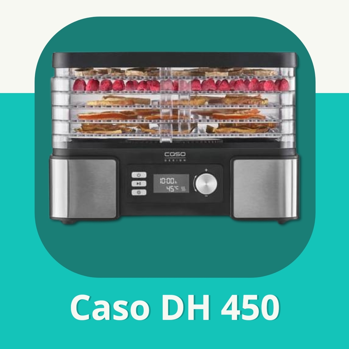 Anmeldelse af Caso DH 450