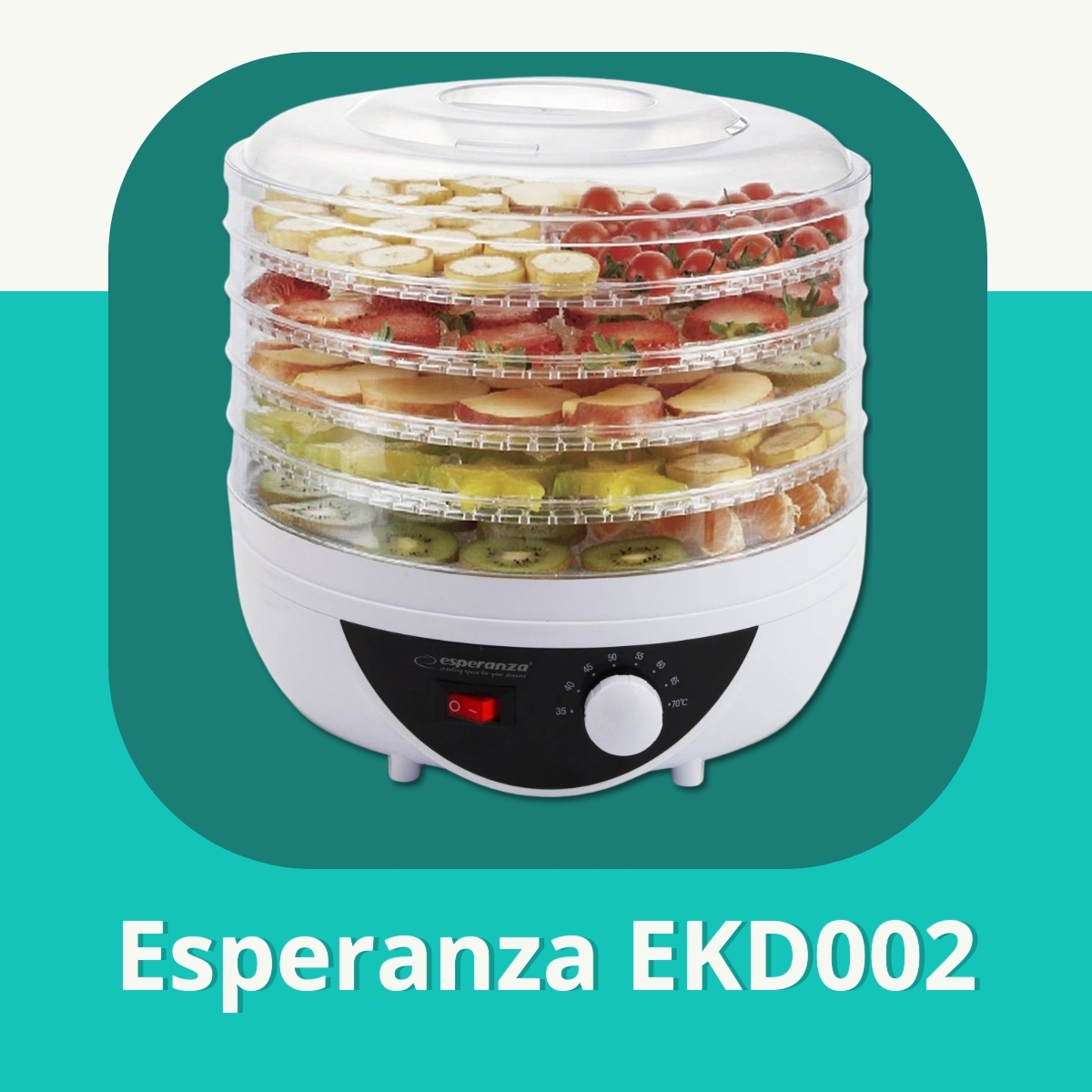 Anmeldelse af Esperanza EKD002