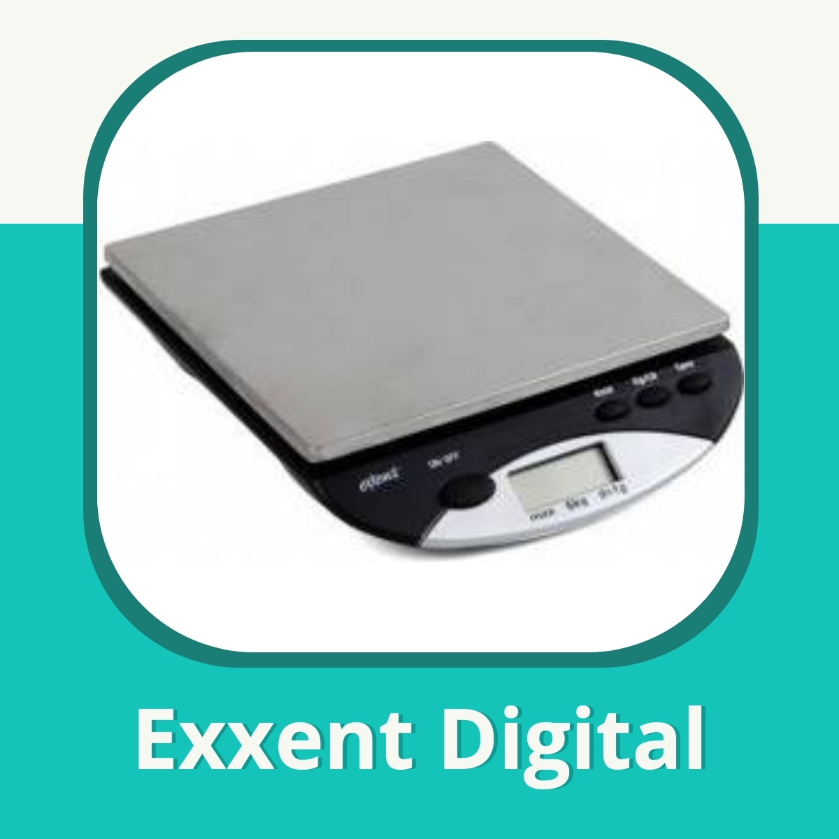 Recension af Exxent Digital