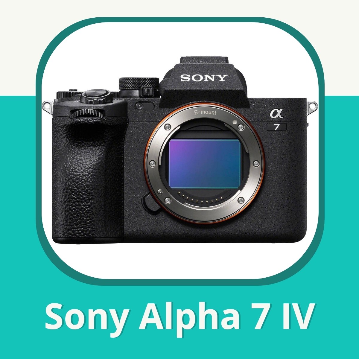 Anmeldelse af Sony Alpha 7 IV