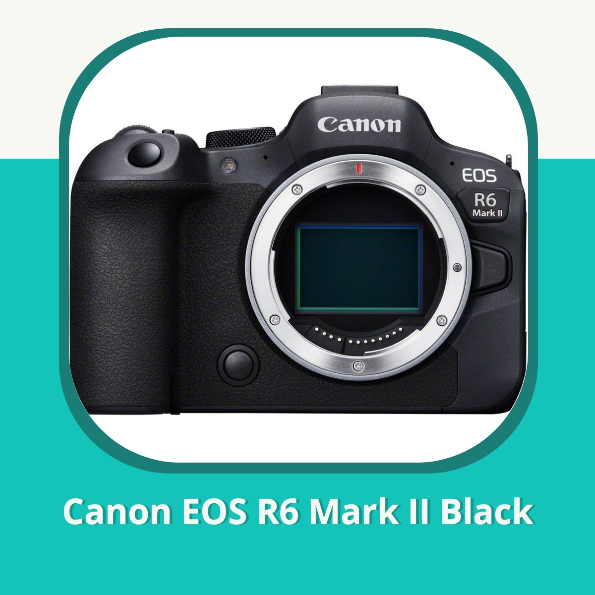 Anmeldelse af Canon EOS R6 Mark II Black