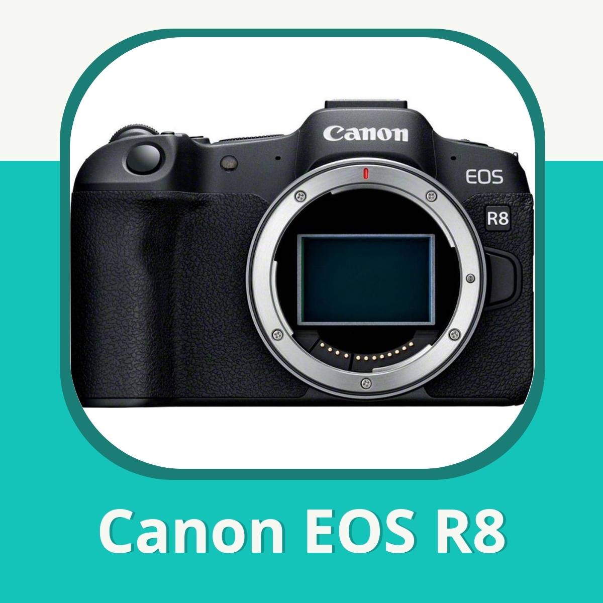 Recension Canon EOS R8