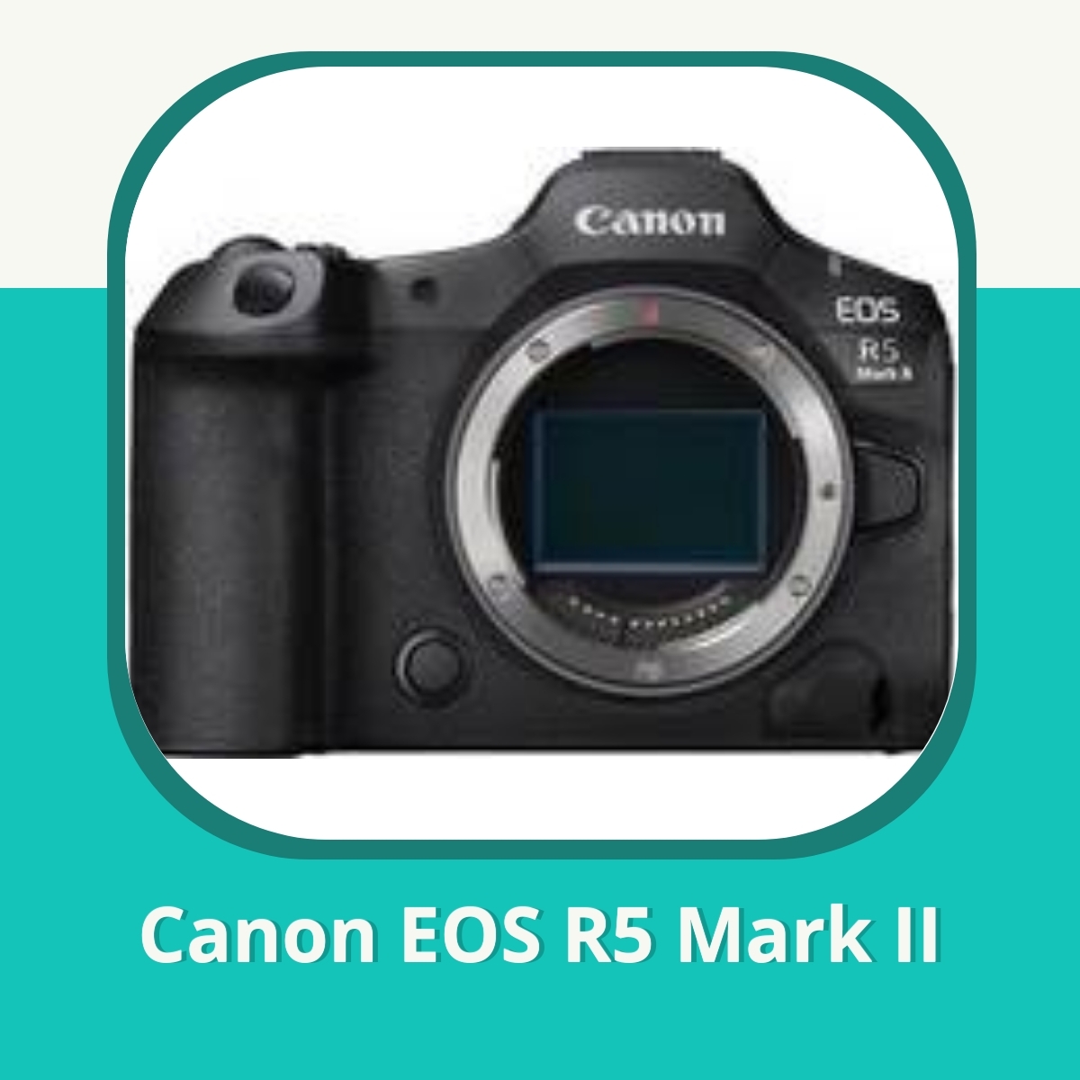 Anmeldelse af Canon EOS R5 Mark II