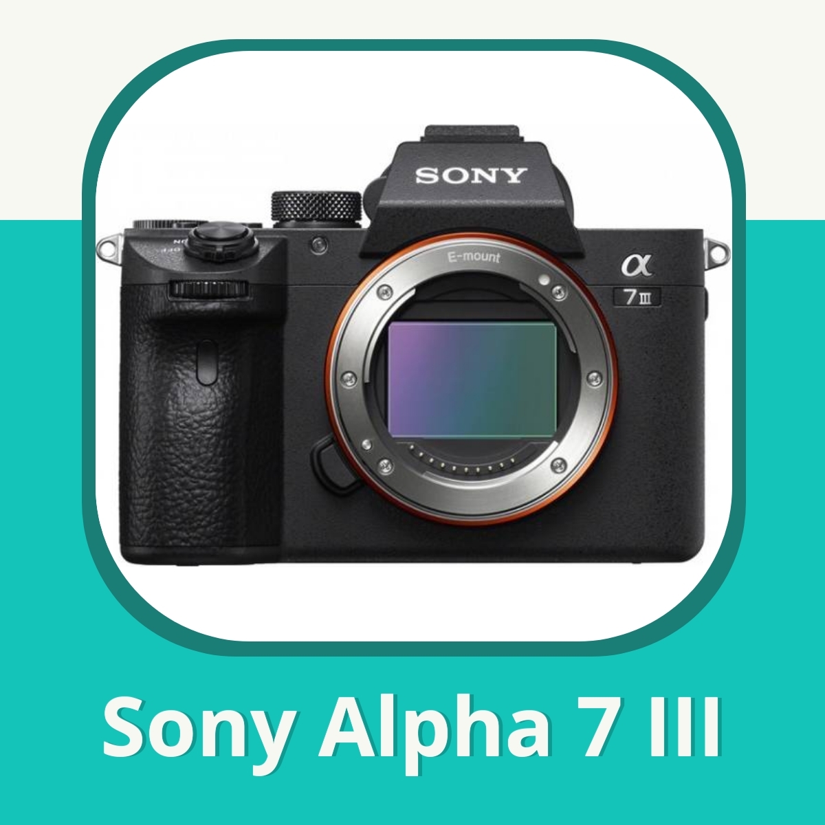 Anmeldelse af Sony Alpha 7 III