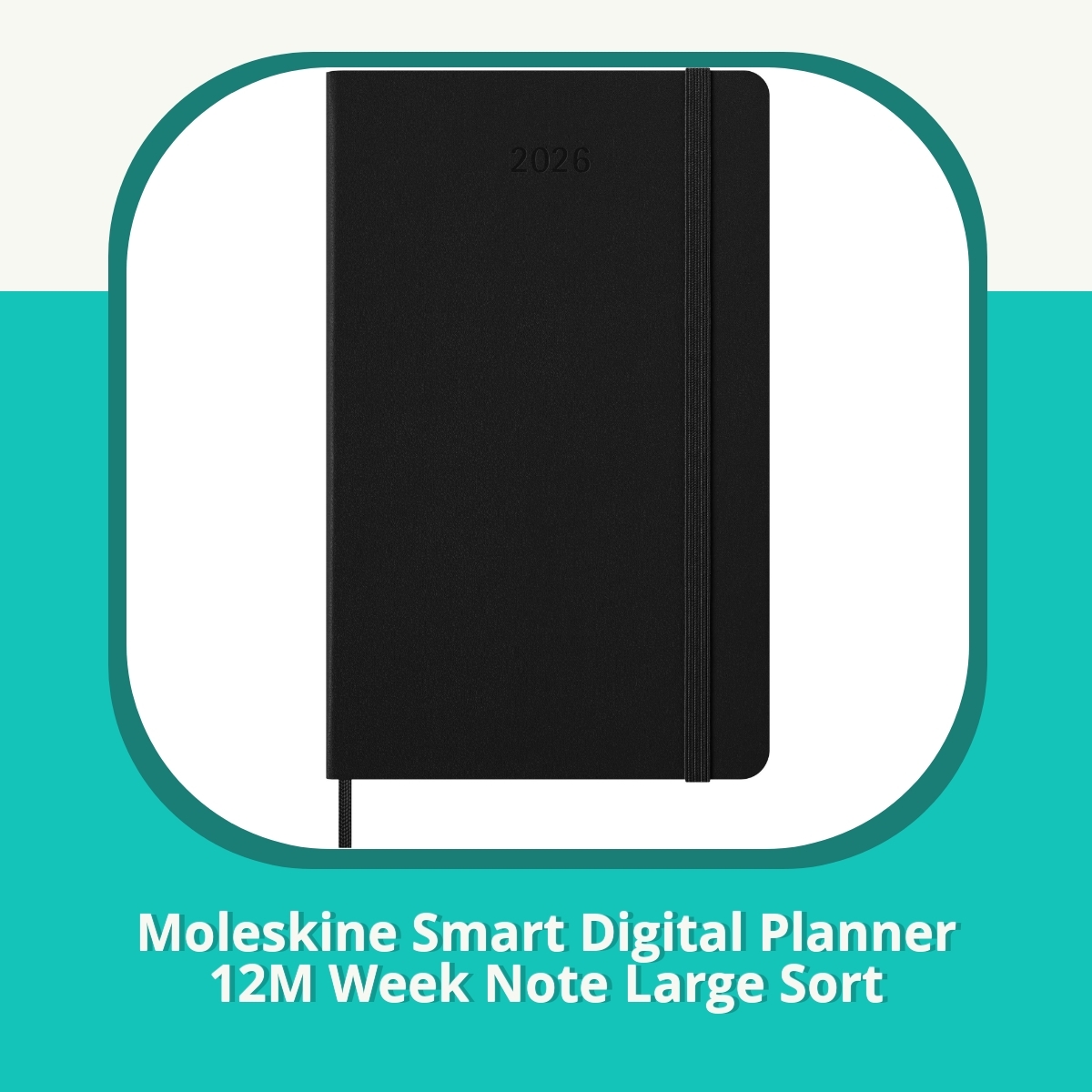 Anmeldelse af Moleskine Smart Digital Planner 12M Week Note Large Sort
