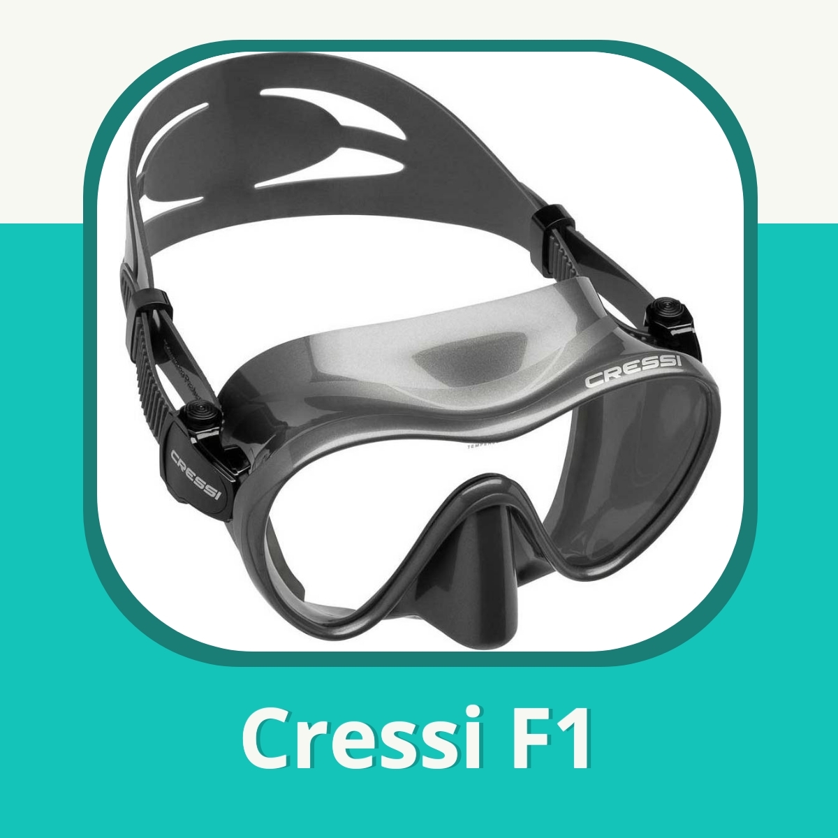 Anmeldelse af Cressi F1