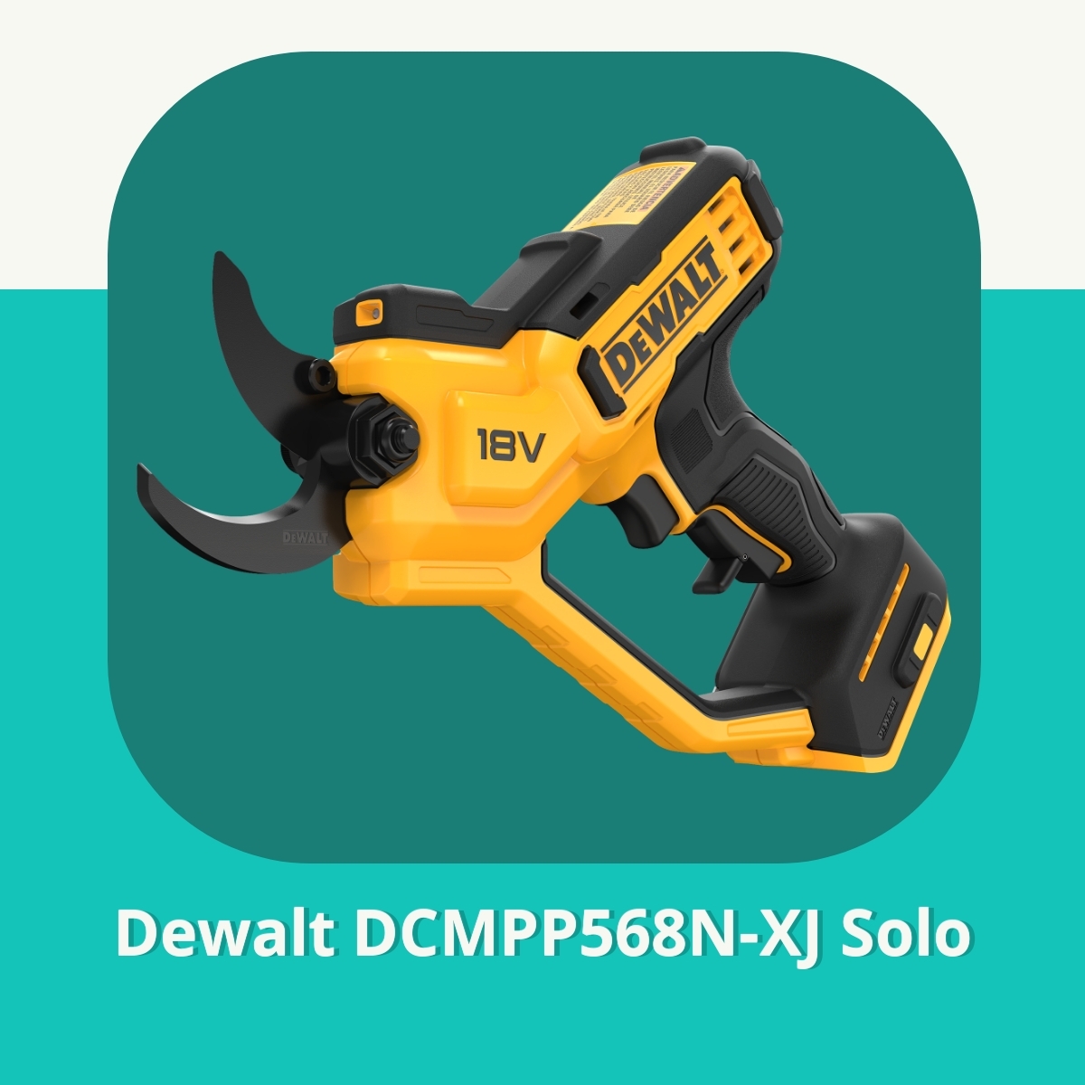 Anmeldelse af Dewalt DCMPP568N-XJ Solo