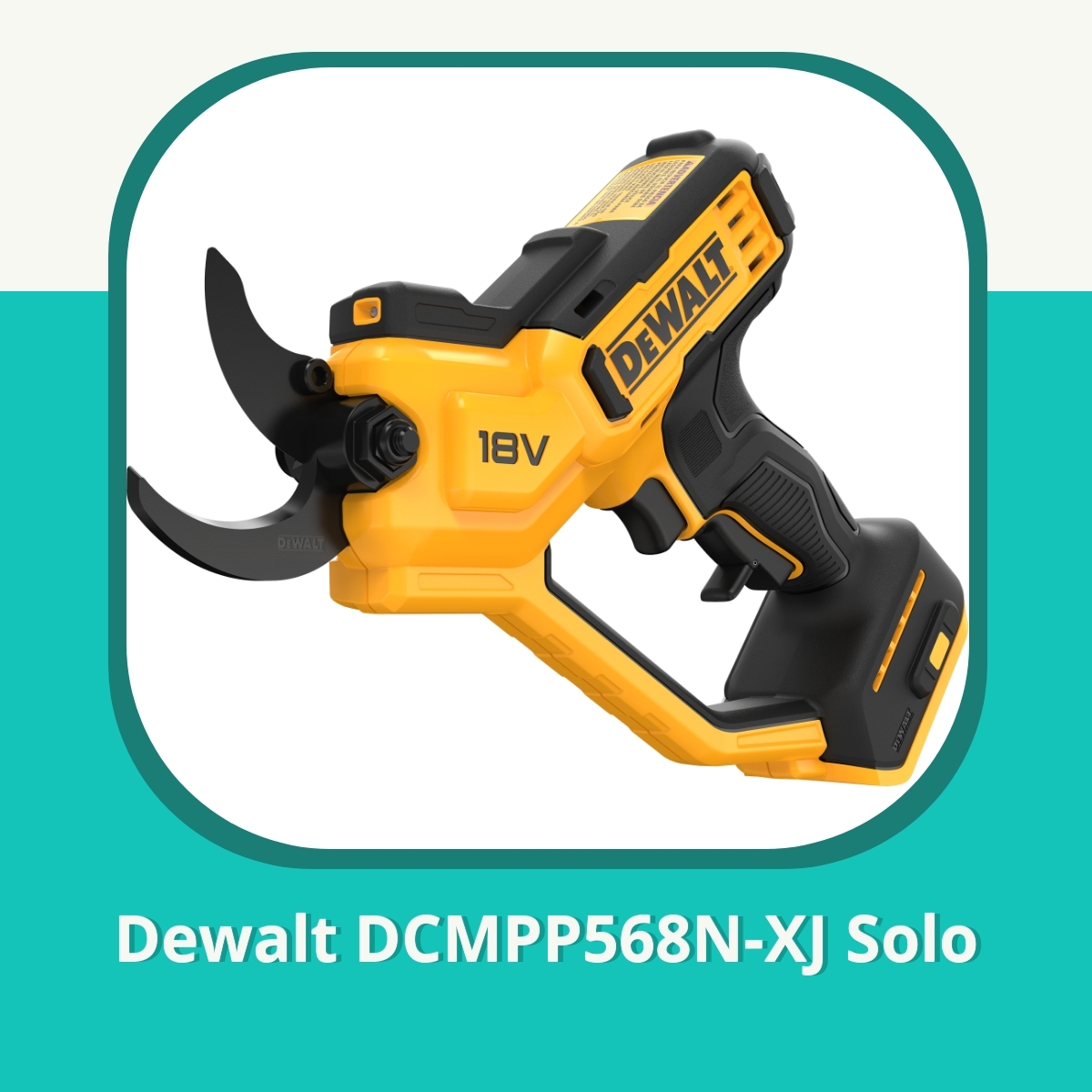 Recension af Dewalt DCMPP568N-XJ Solo