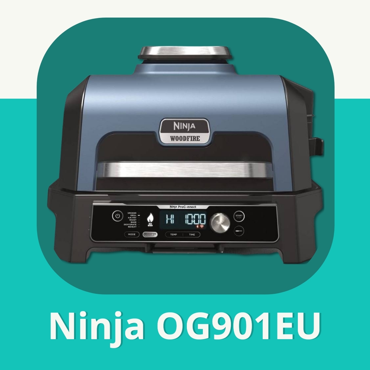 Anmeldelse af Ninja OG901EU
