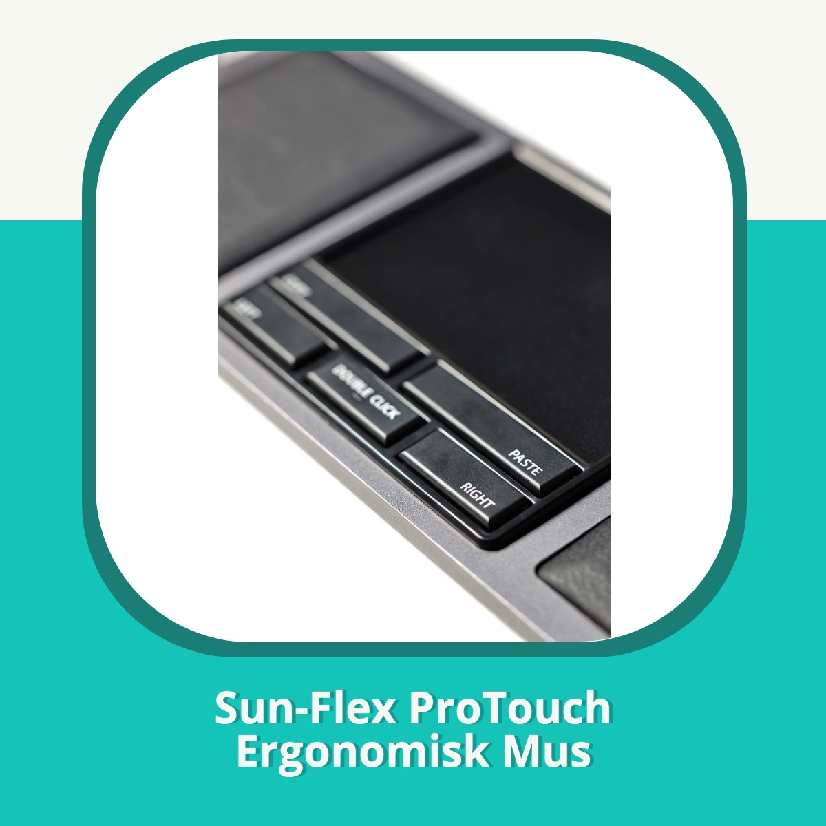 Anmeldelse af Sun-Flex ProTouch Ergonomisk Mus