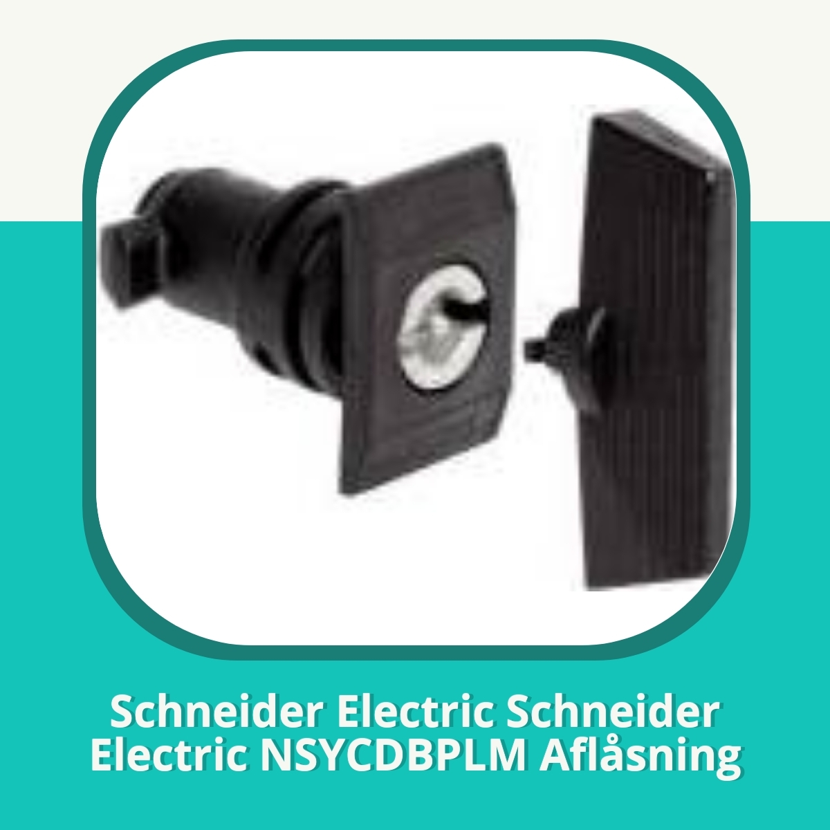 Recension af Schneider Electric Schneider Electric NSYCDBPLM Aflåsning