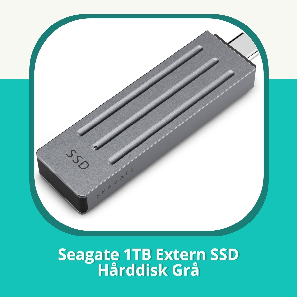 Recension af Seagate 1TB Extern SSD Hårddisk Grå