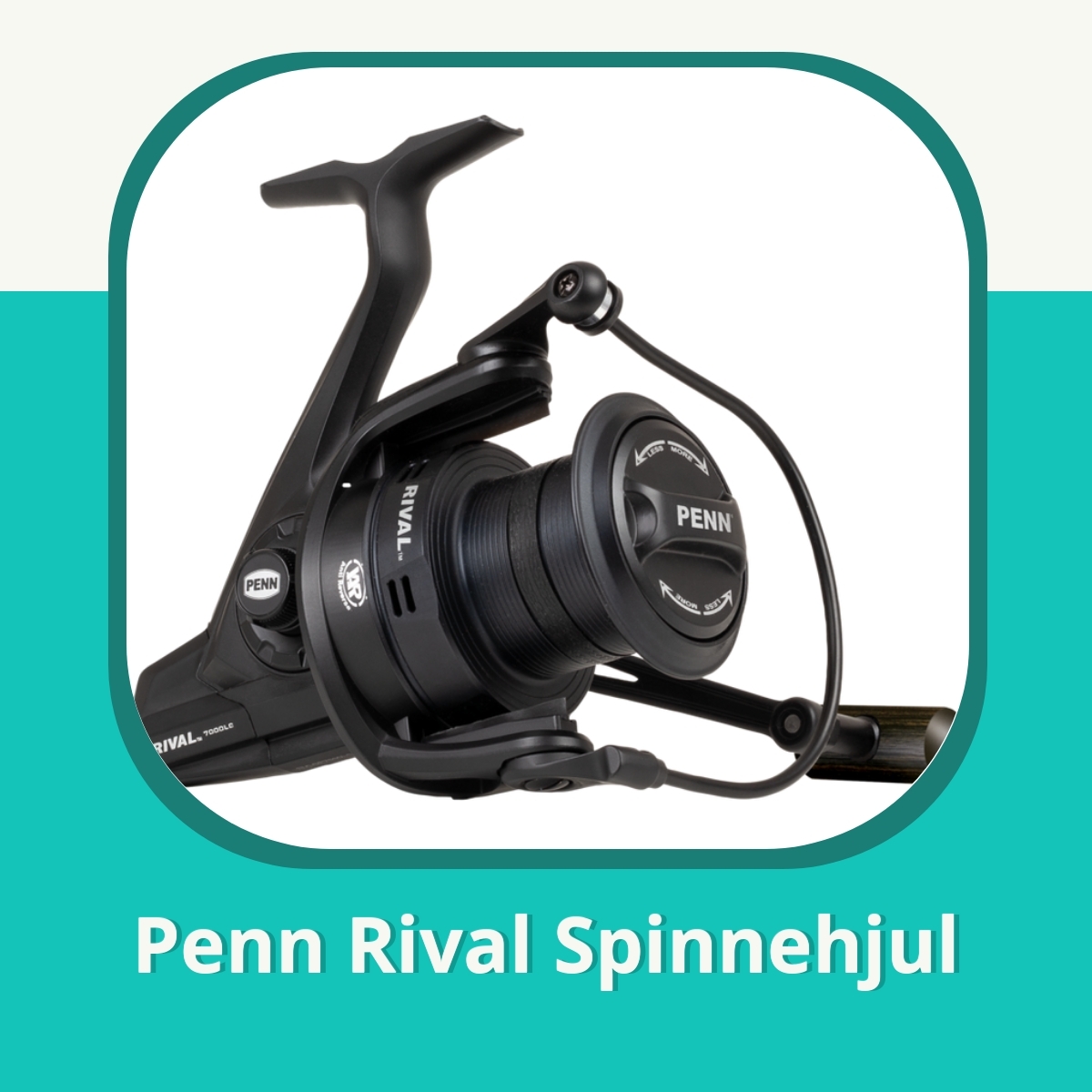 Recension af Penn Rival Spinnehjul