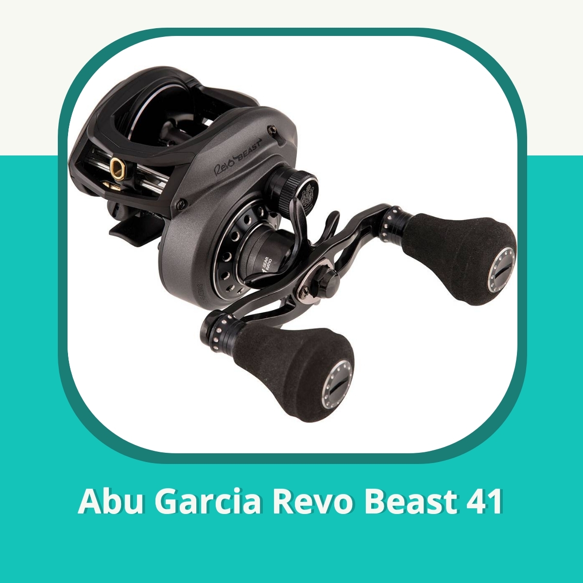 Recension af Abu Garcia Revo Beast 41