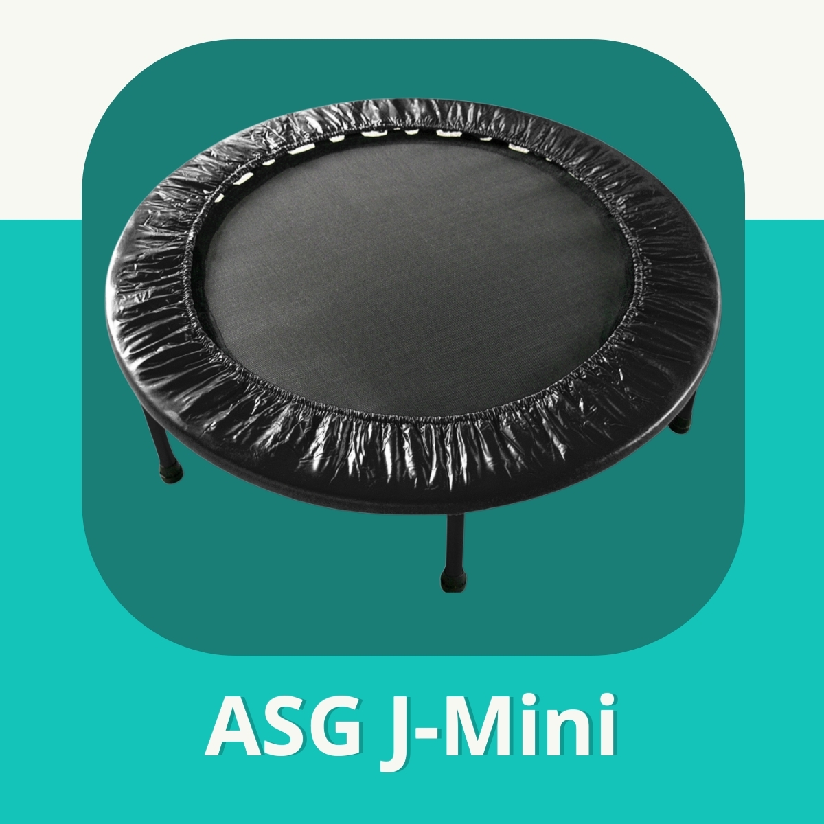 Anmeldelse af ASG J-Mini