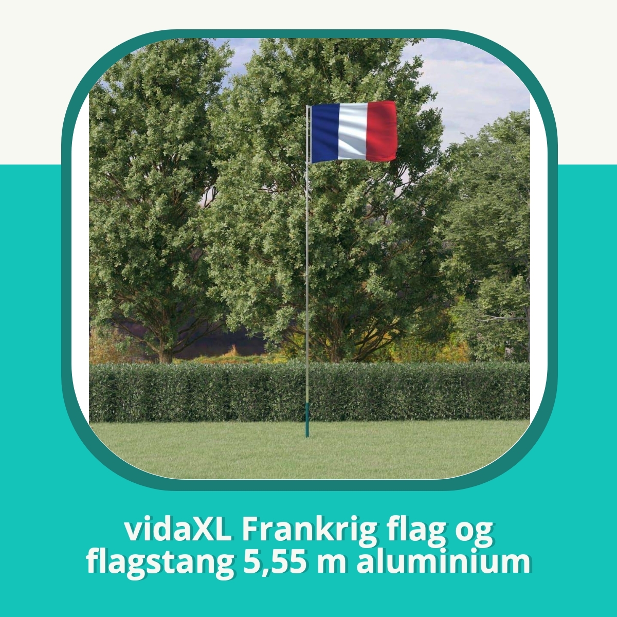 Anmeldelse af vidaXL Frankrig flag og flagstang 5,55 m aluminium