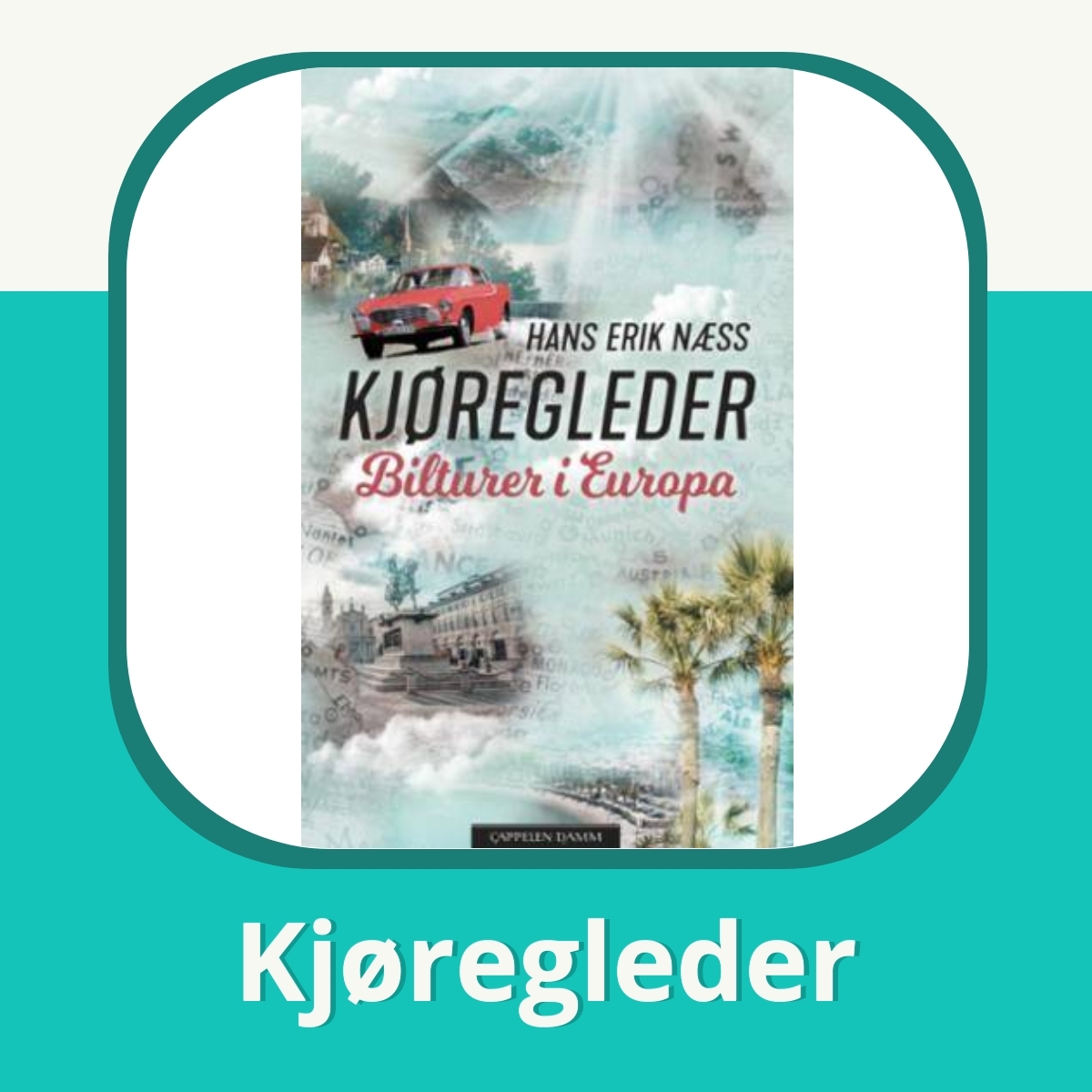 Anmeldelse af Kjøregleder