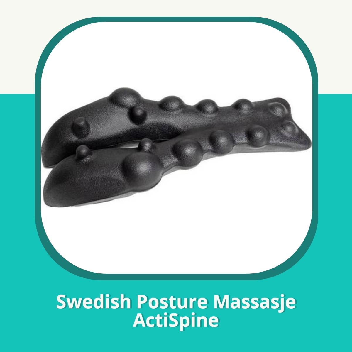 Anmeldelse af Swedish Posture ActiSpine, 1 st