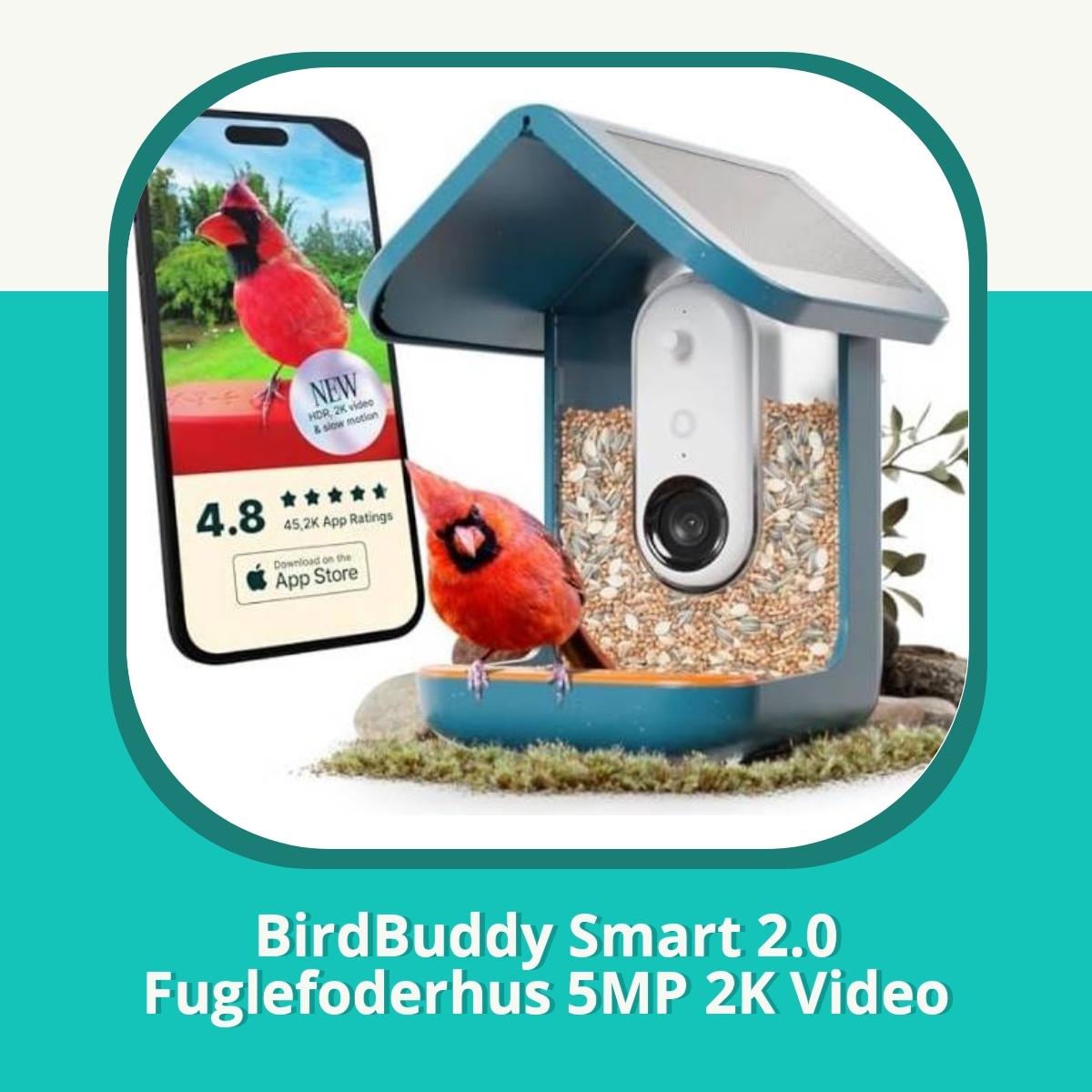 Anmeldelse af BirdBuddy Smart 2.0 Fuglefoderhus 5MP 2K Video